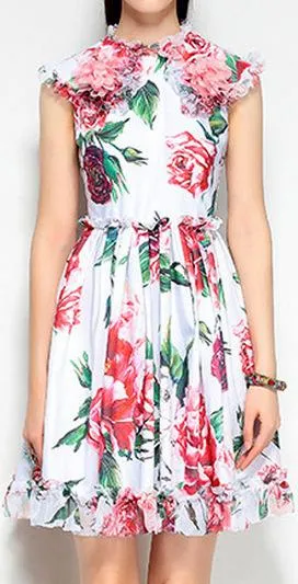 Floral Appliques Printed Mini Dress